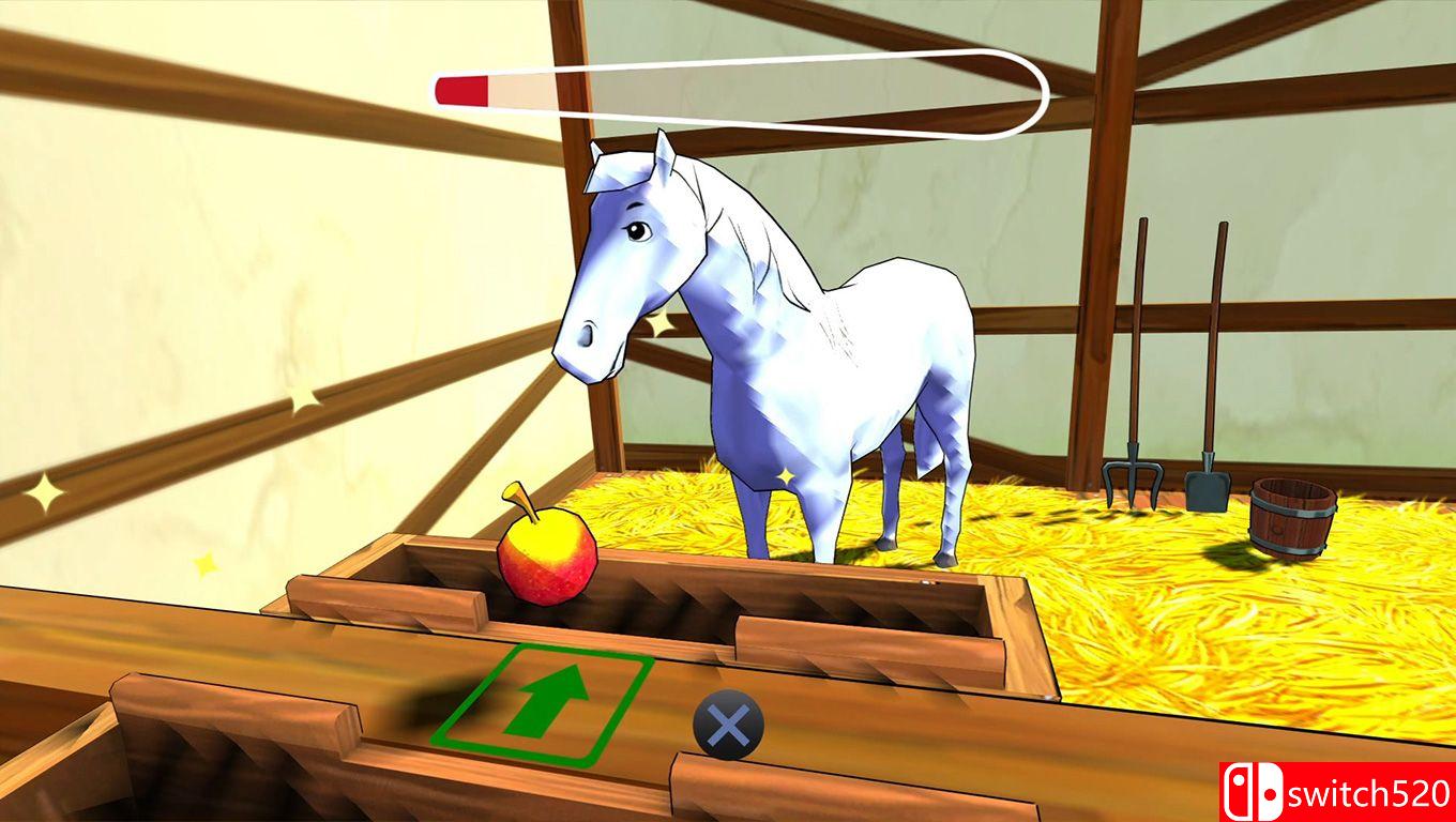 《比比和迪娜：马匹历险记（Bibi & Tina: Adventures with Horses）》SiMPLEX硬盘版[EN]_3