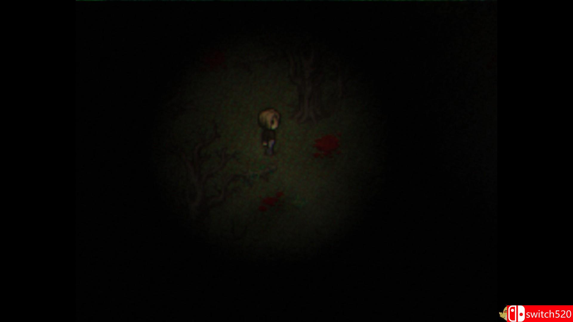 《Cult of the Glitch King（Cult of the Glitch King）》DARKZER0硬盘版[EN]_4