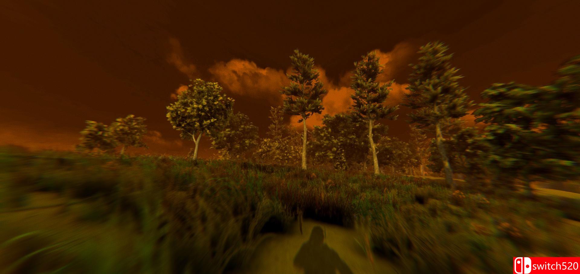 《逃避战争：死亡森林（ESCAPE FROM VOYNA: Dead Forest）》PLAZA镜像版[EN]_5