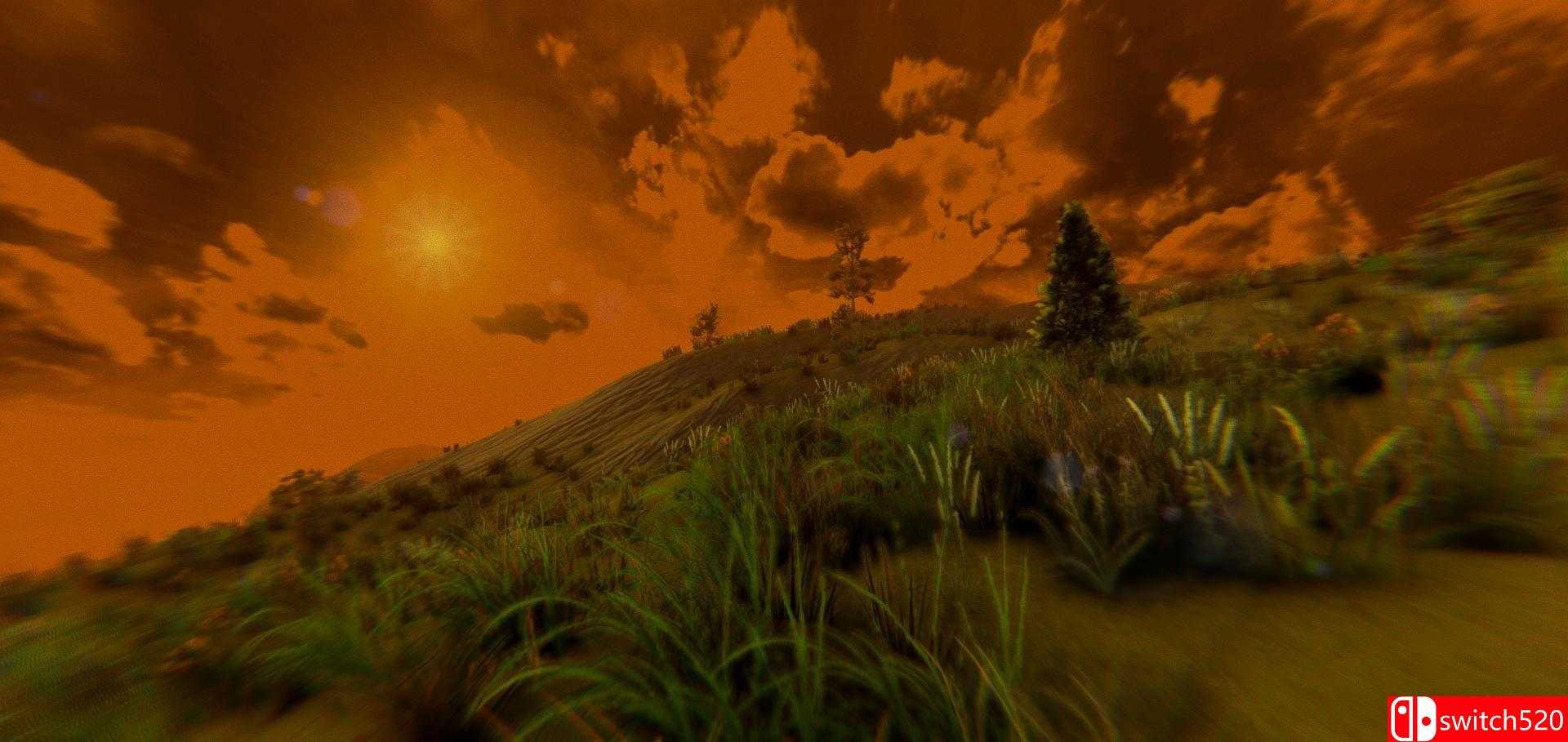 《逃避战争：死亡森林（ESCAPE FROM VOYNA: Dead Forest）》PLAZA镜像版[EN]_4