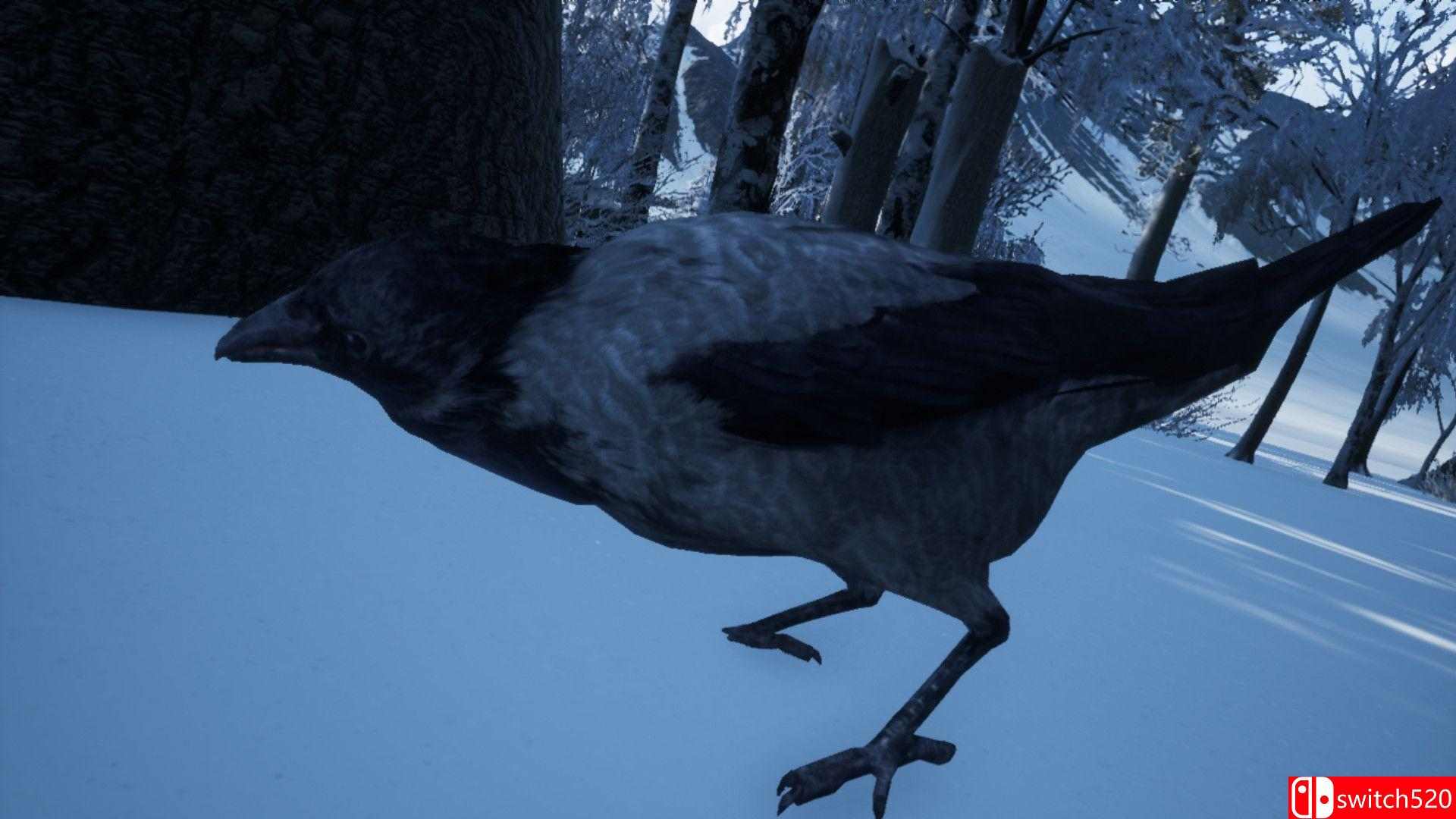 《徒步模拟器2018（Hiking Simulator 2018）》PLAZA镜像版[EN]_2