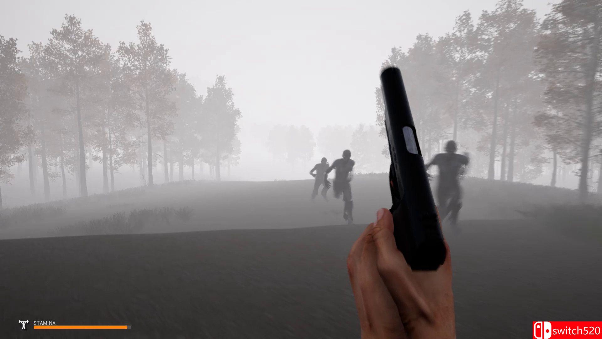 《迷雾生存（Mist Survival）》v0.2.3 免安装未加密版[EN]_1
