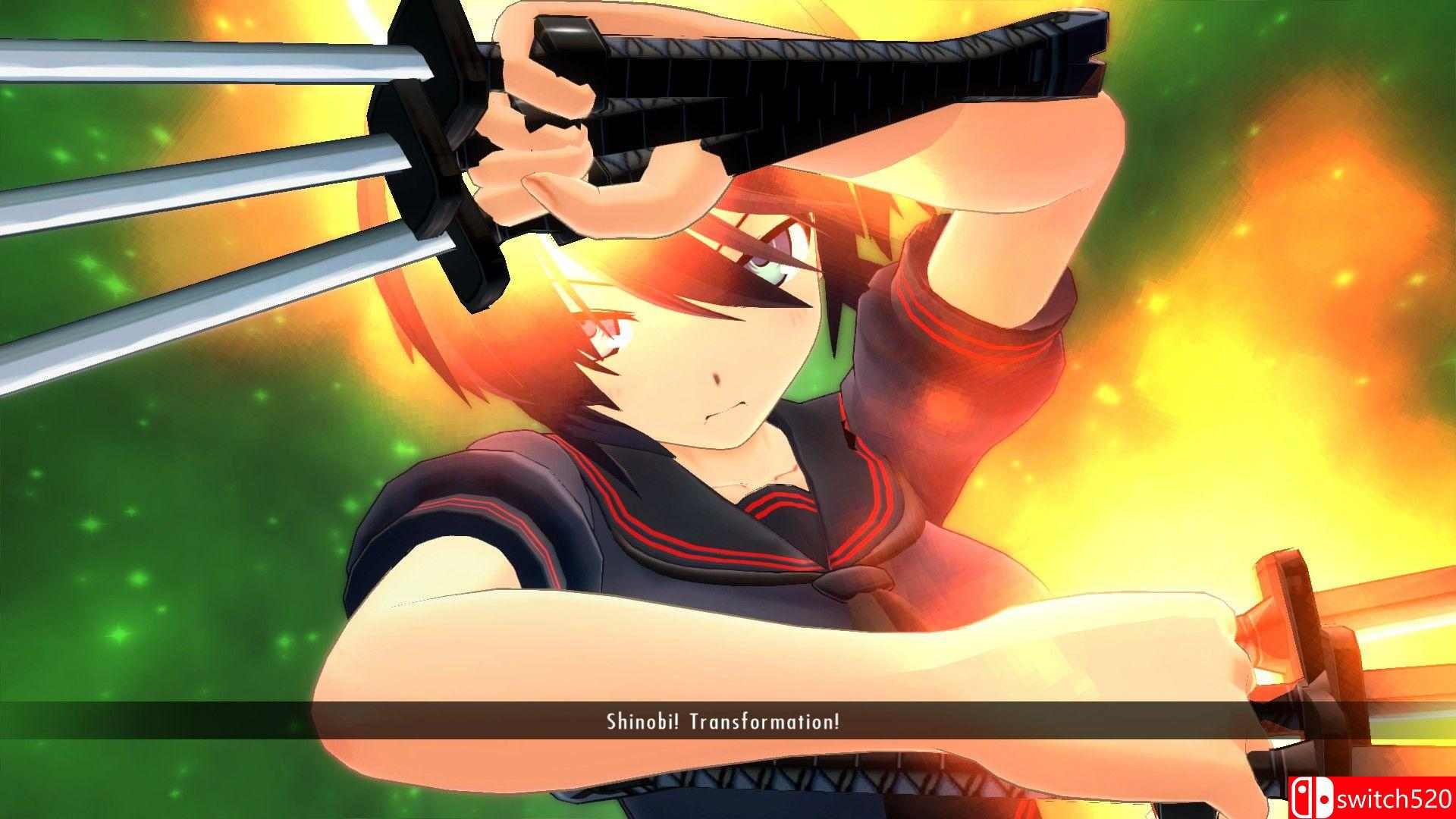 《闪乱神乐爆裂：Re:Newal（SENRAN KAGURA Burst Re:Newal）》CODEX镜像版[CN/TW/EN]_4