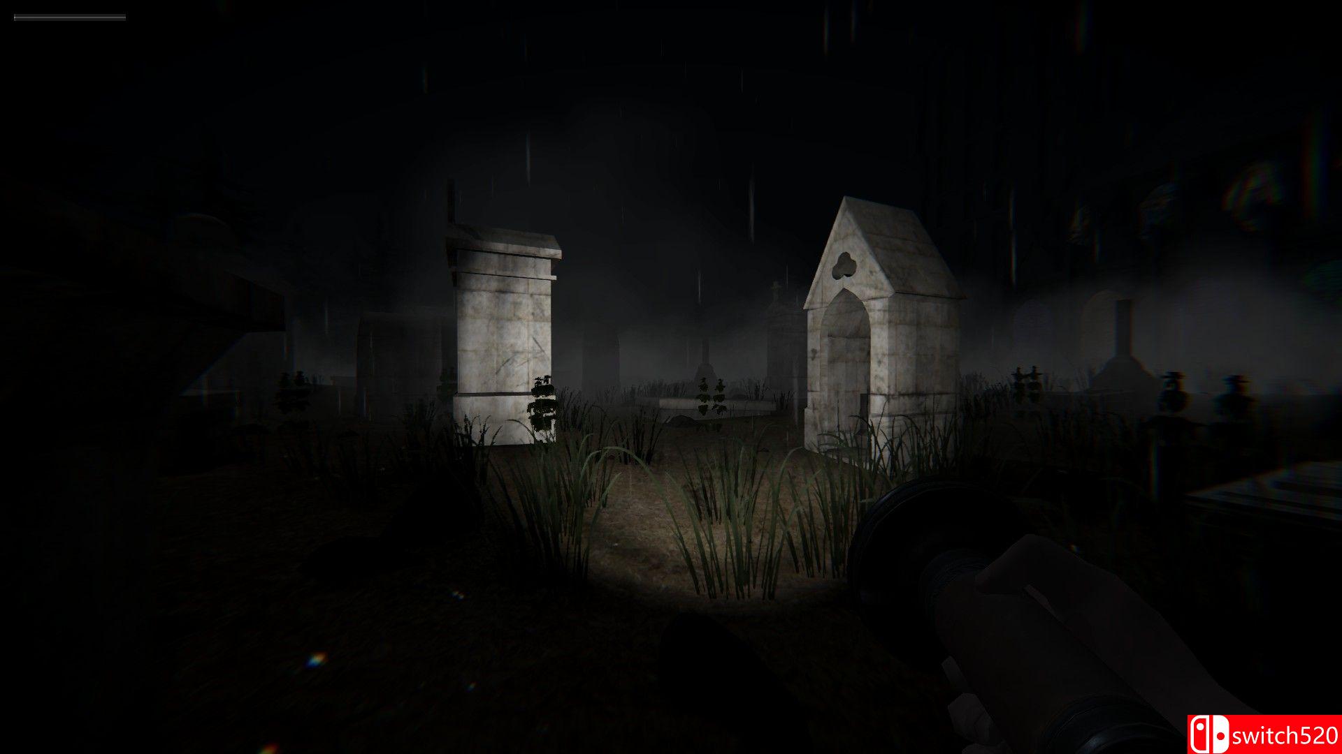 《血腥玛丽：遗忘的诅咒（Bloody Mary: Forgotten Curse）》PLAZA镜像版[EN]_4