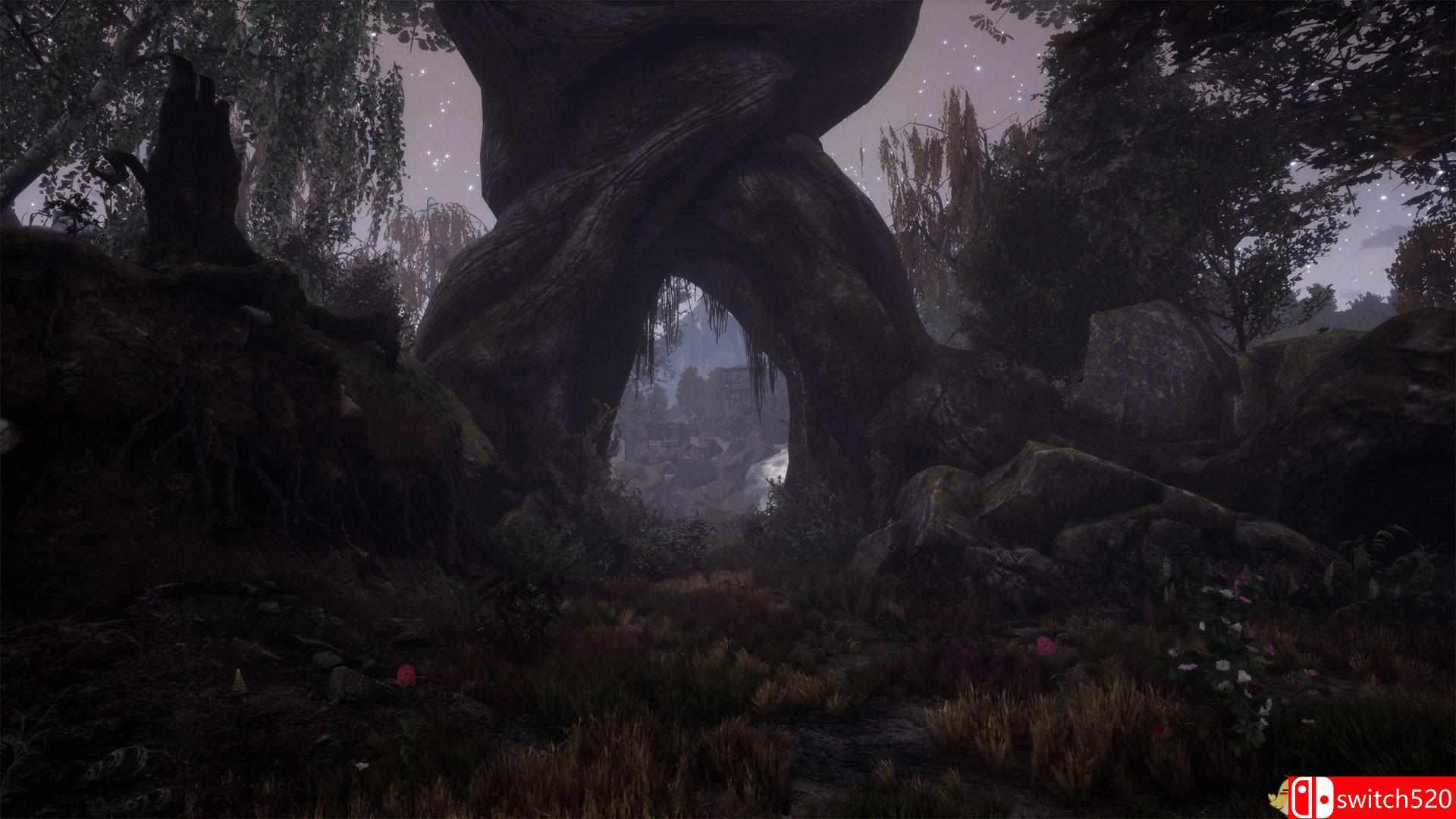 《兰古纳的枯树（The Dead Tree of Ranchiuna）》CODEX镜像版[EN]_2
