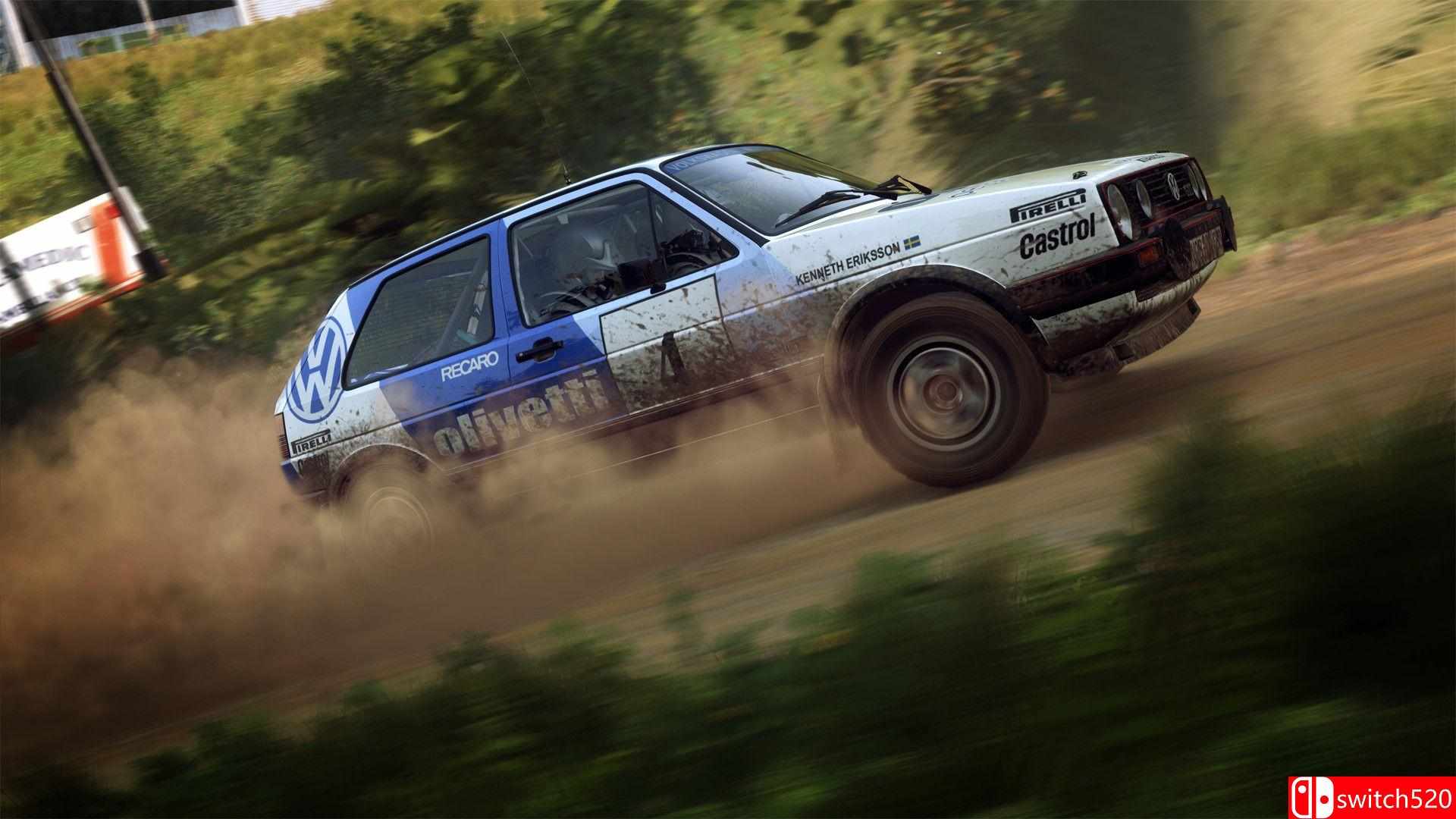 《尘埃拉力赛2.0（DiRT Rally 2.0）》CODEX镜像版[EN]_2