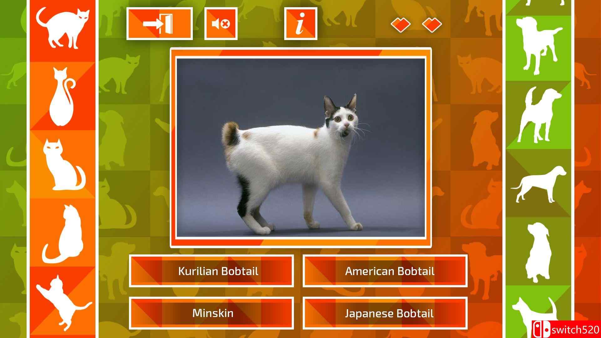 《JQ：狗和猫（JQ: dogs & cats）》两国语言 ALiAS硬盘版[EN]_1