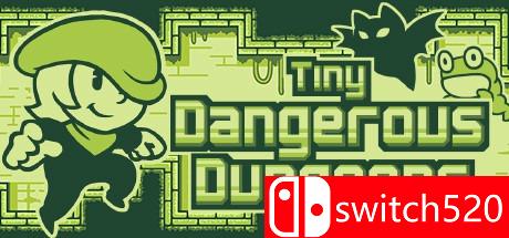 《微型危险地下城（Tiny Dangerous Dungeons）》DARKZER0硬盘版[EN]
