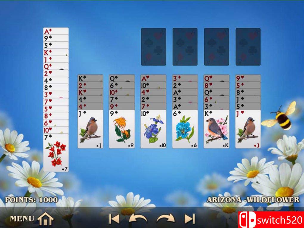 《夏日纸牌（Summertime Solitaire）》RAZOR硬盘版[EN]_4