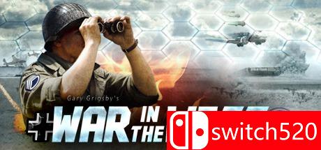《加里的世界大战：西线（Gary Grigsby's War in the West）》集成DLC Unleashed硬盘版[EN]