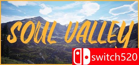 《灵魂山谷（Soul Valley）》HOODLUM镜像版[EN]
