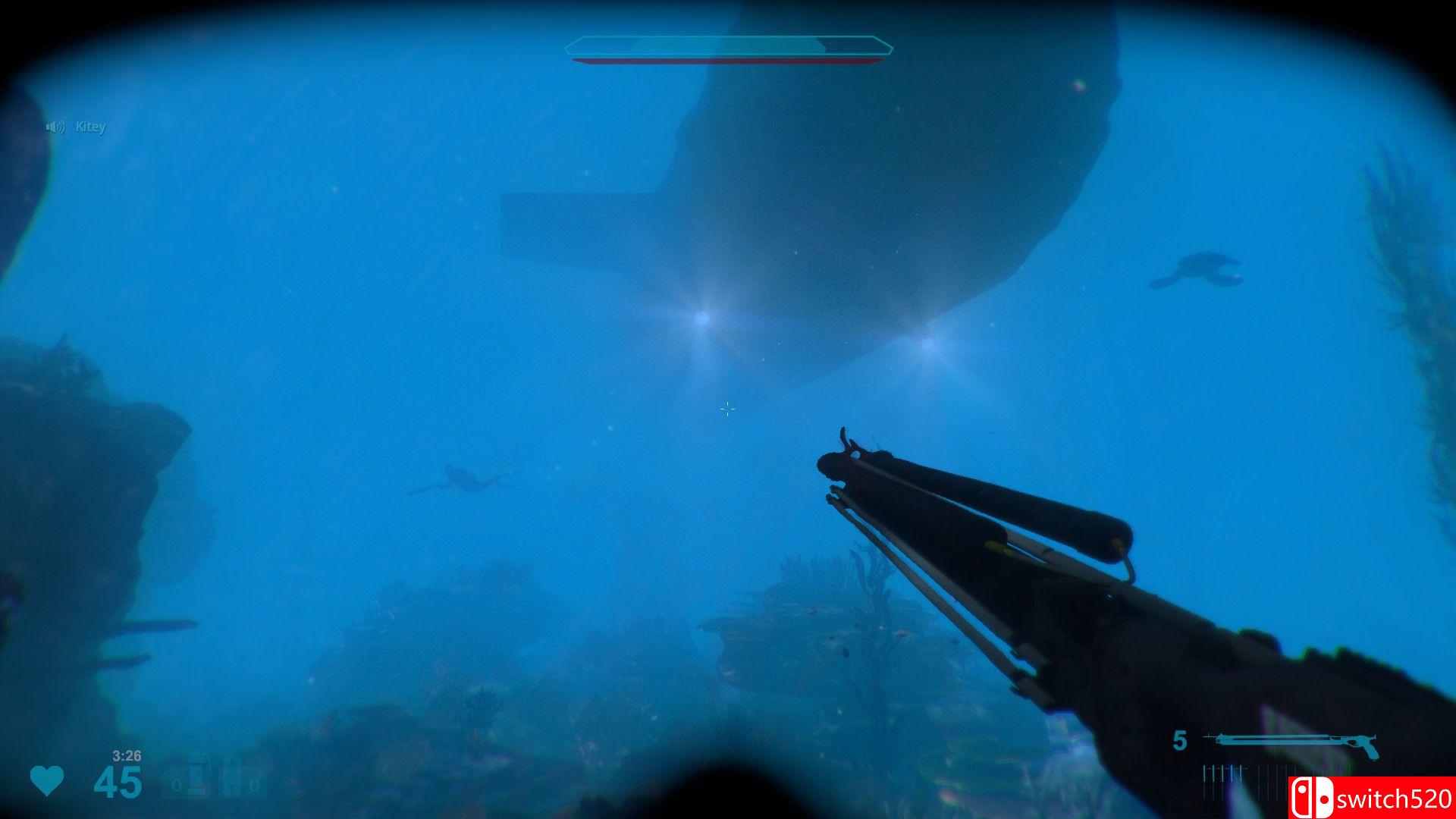 《鲨鱼袭击死亡竞赛2（Shark Attack Deathmatch 2）》SKIDROW镜像版[EN]_4