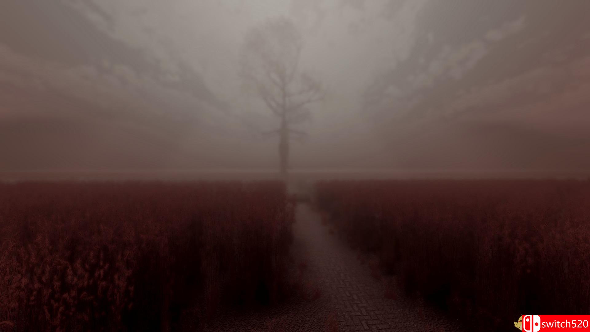 《我的骨头：重制版（My Bones Remastered）》PLAZA镜像版[EN]_4