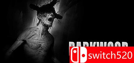 《阴暗森林（Darkwood）》官方中文 32位 v1.4a STRANGE镜像版[CN/EN]