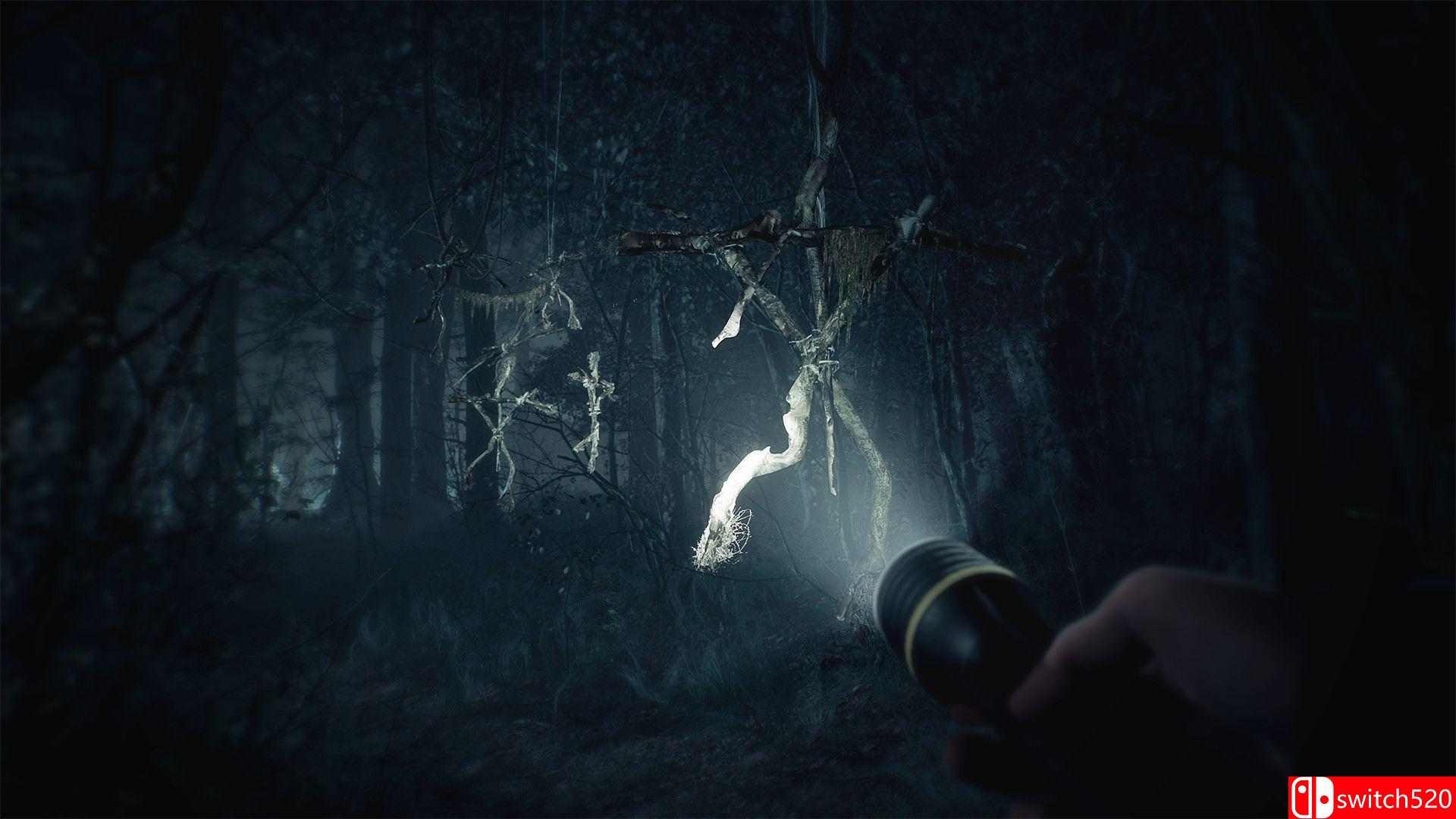 《布莱尔女巫（Blair Witch）》HOODLUM镜像版[CN/EN/JP]_2