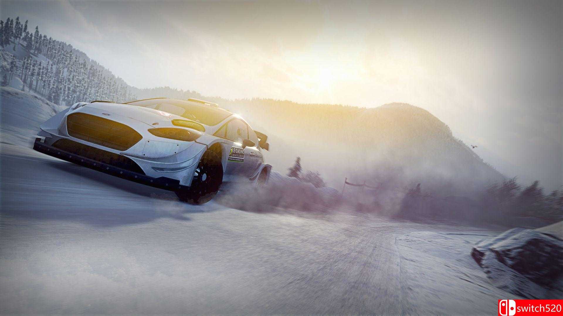 《世界汽车拉力锦标赛8（WRC 8 FIA World Rally Championship）》CODEX镜像版[CN/JP/EN]_2