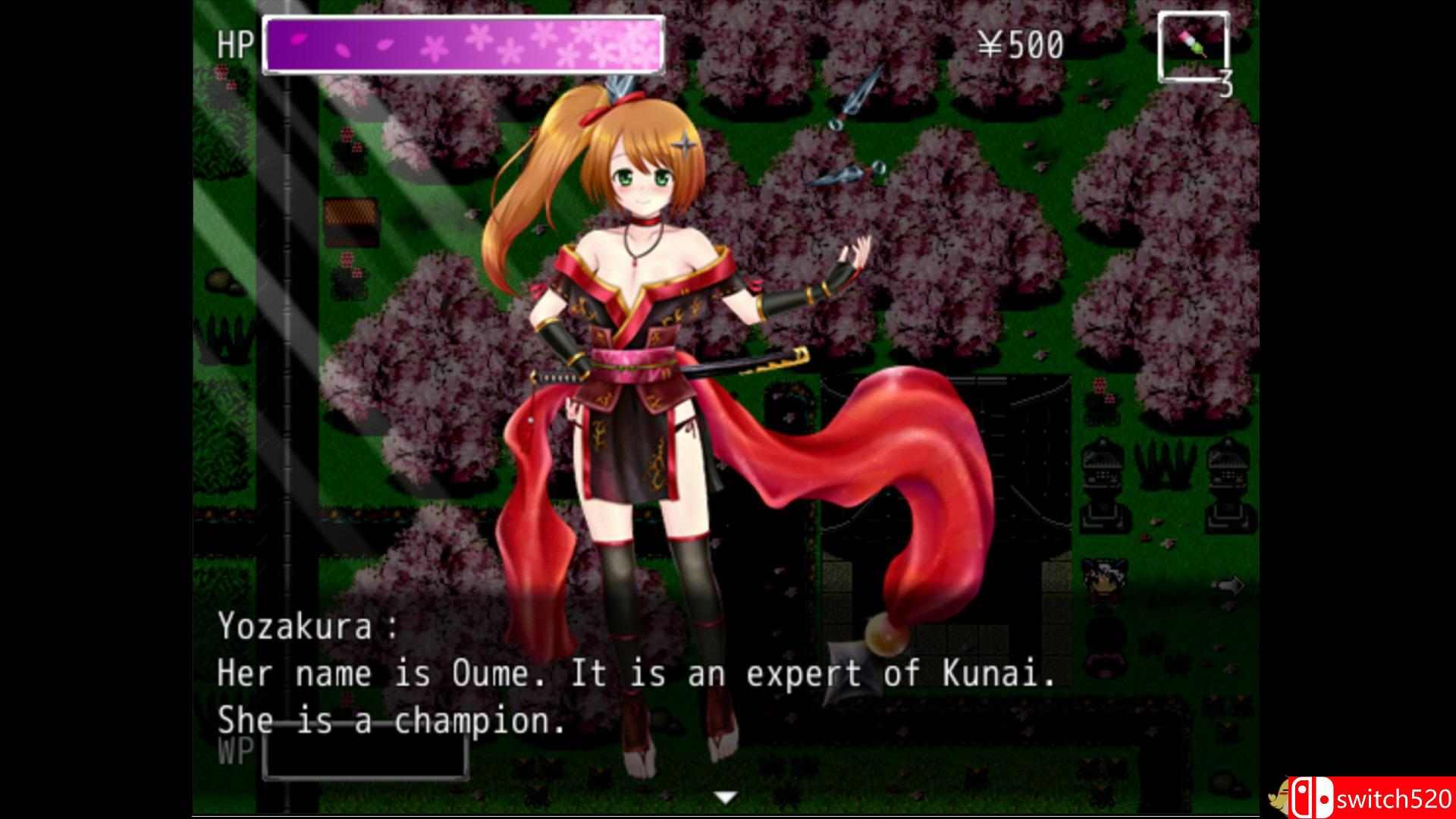 《忍者Kunoichi（Kunoichi Ninja）》DARKSiDERS镜像版[EN]_7