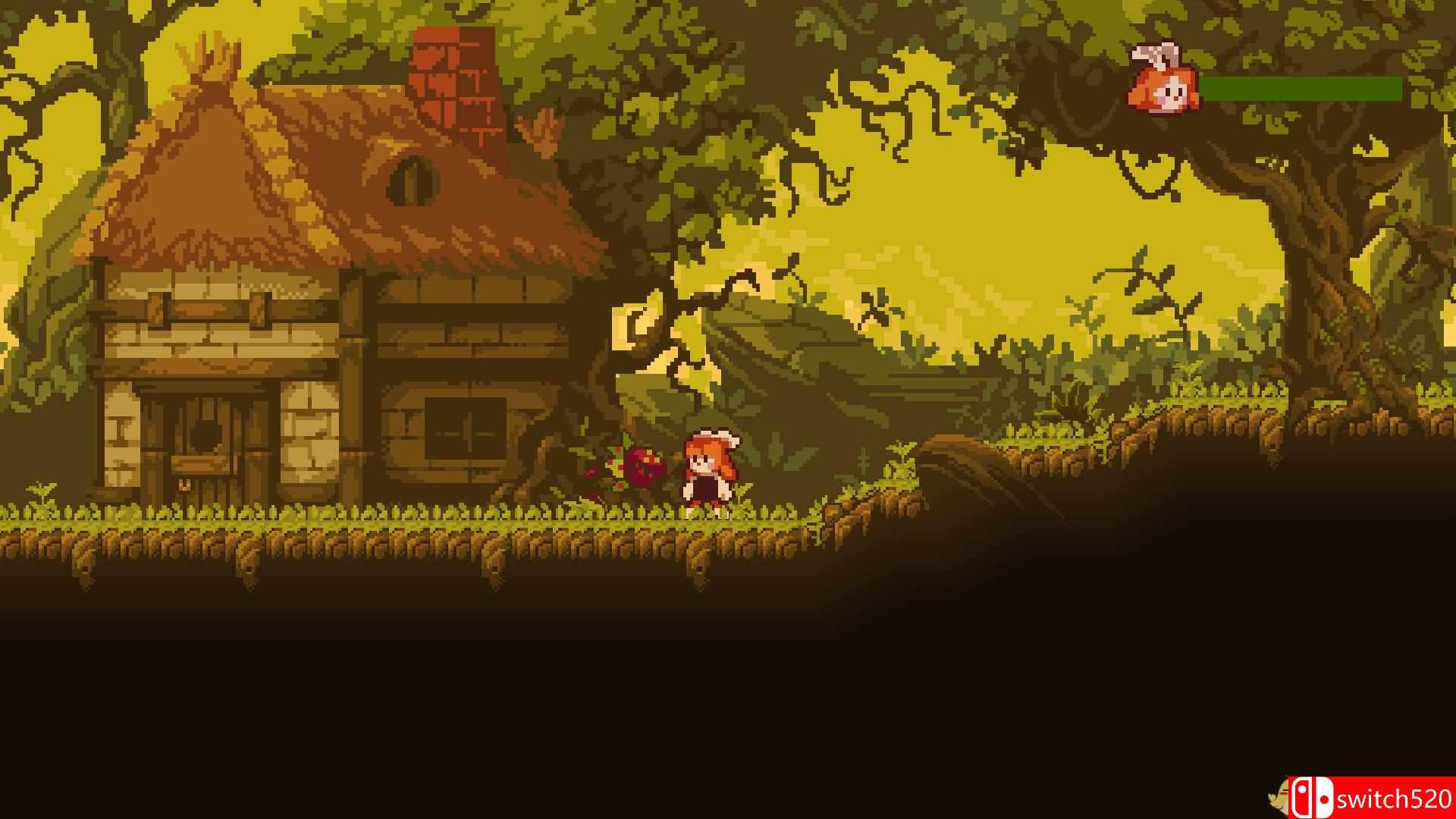 《疯狂植物（FRENZY PLANTS）》DARKZER0硬盘版[EN]_2