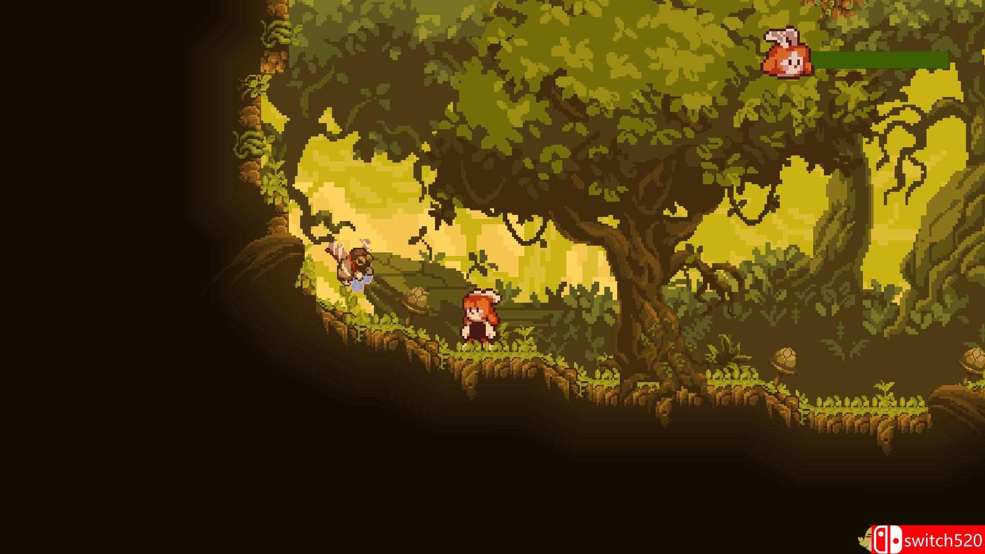 《疯狂植物（FRENZY PLANTS）》DARKZER0硬盘版[EN]_4