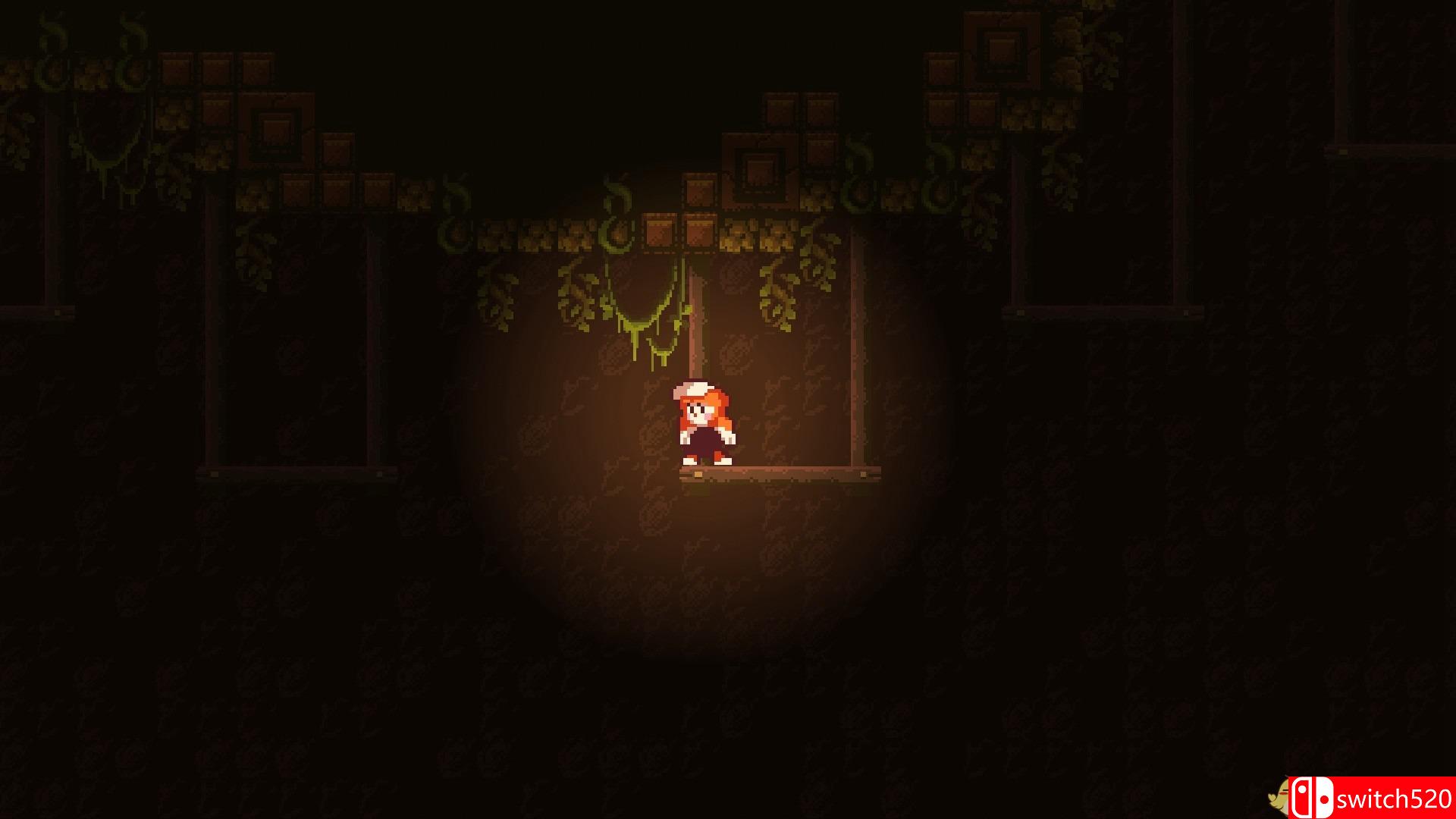 《疯狂植物（FRENZY PLANTS）》DARKZER0硬盘版[EN]_5