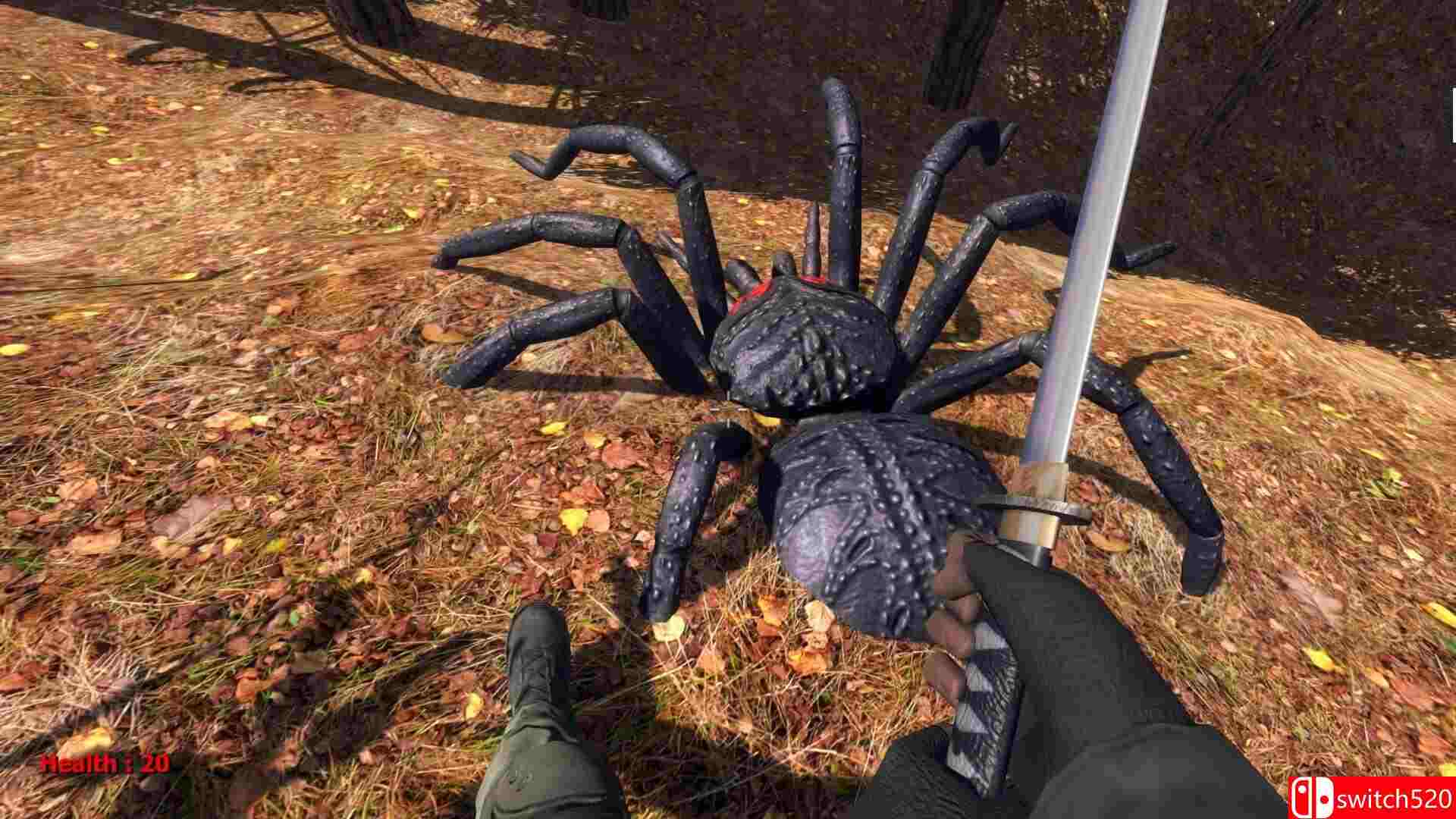 《森林蜘蛛（Forest spiders）》DARKZER0硬盘版[EN]_4