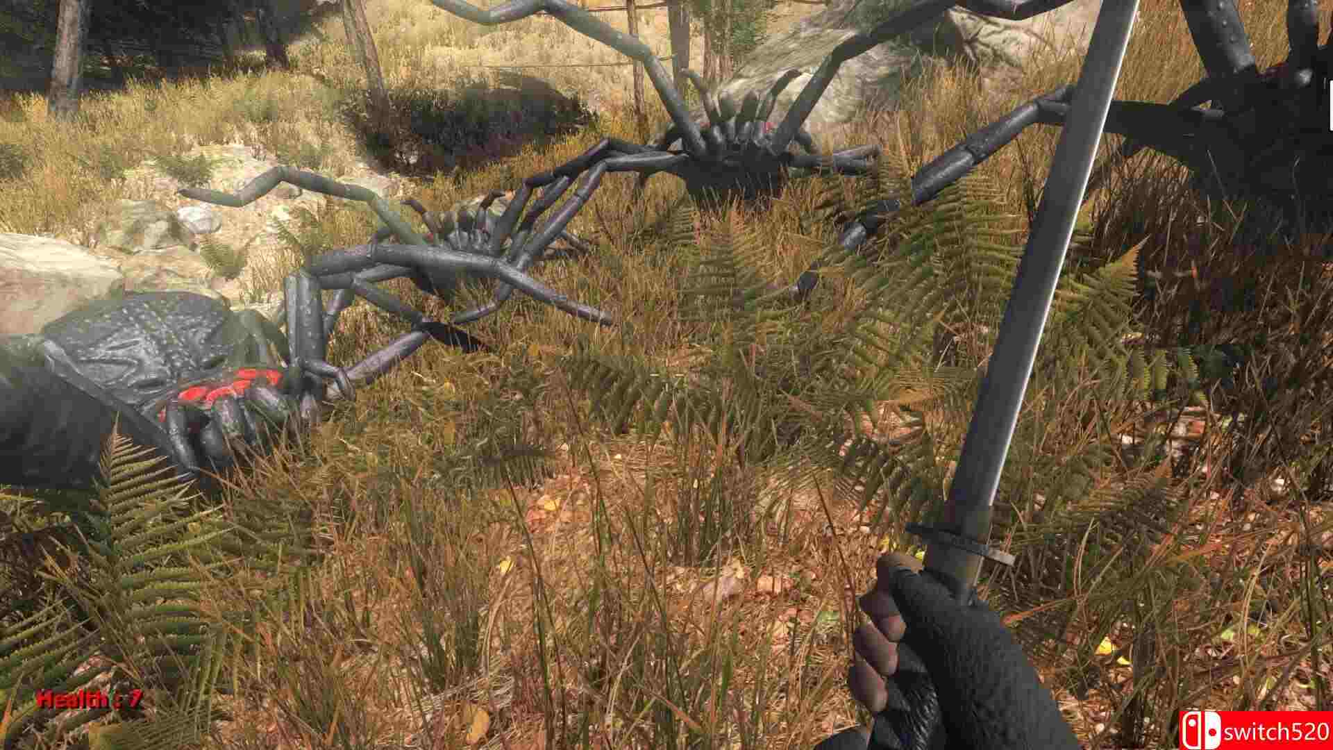 《森林蜘蛛（Forest spiders）》DARKZER0硬盘版[EN]_1