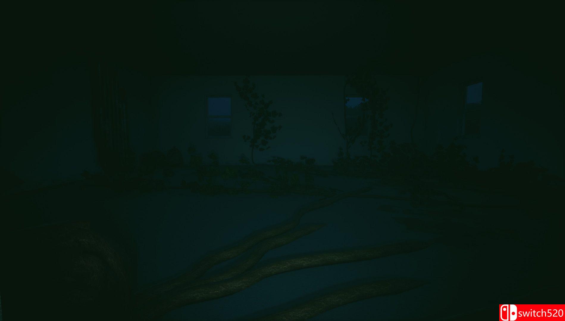 《野外（Outside）》PLAZA镜像版[EN]_3