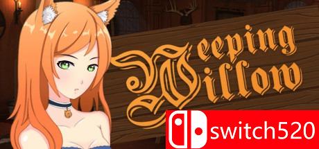 《垂柳（Weeping Willow - Detective Visual Novel）》DARKZER0硬盘版[EN]