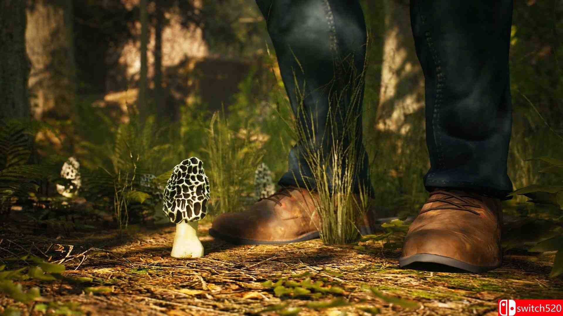 《羊肚菌：狩猎（Morels: The Hunt）》HOODLUM镜像版[CN/EN]_1
