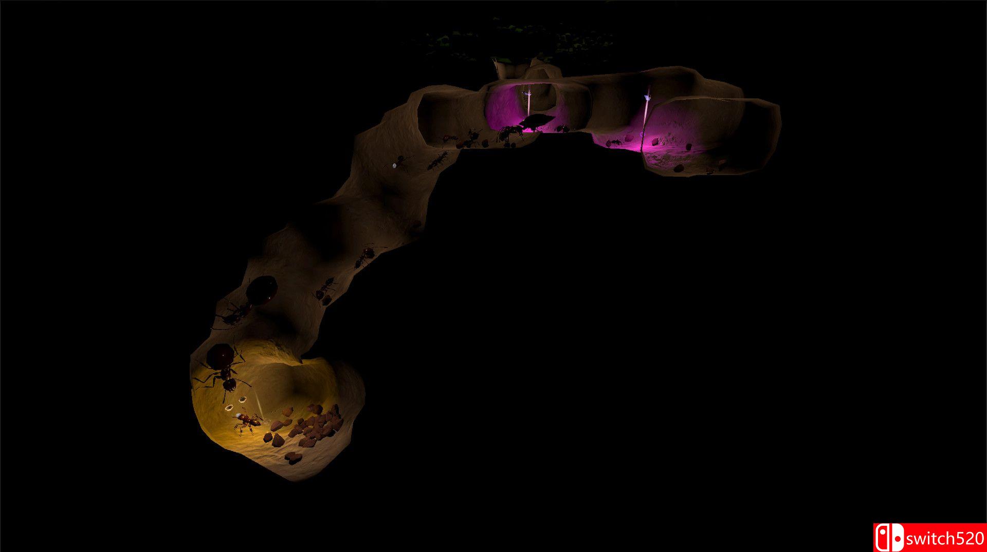 《蚁后3D（AntQueen 3D）》PLAZA镜像版[EN]_2