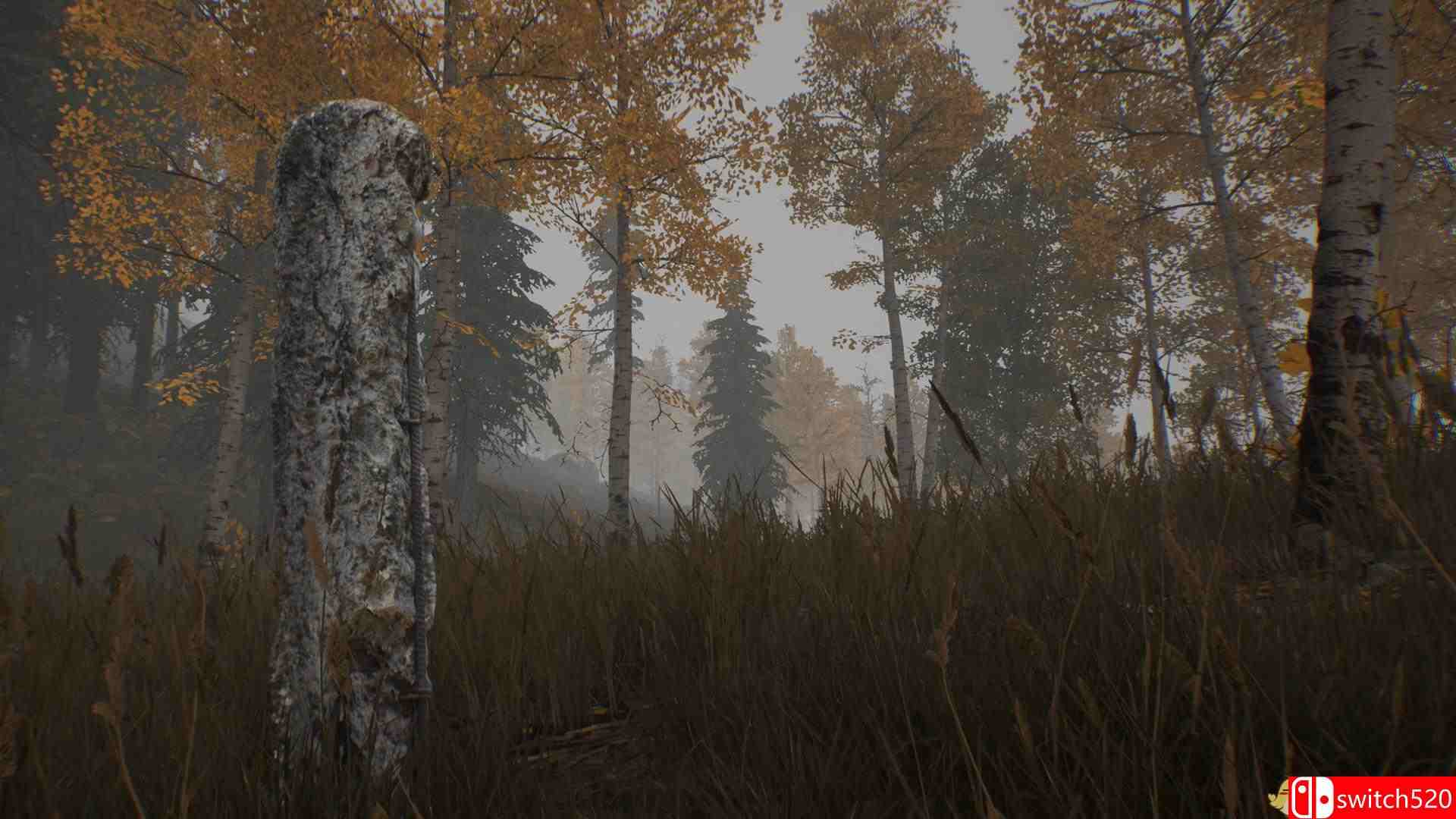 《30公里生存区：切尔诺贝利（30km survival zone: Chernobyl）》DARKSiDERS镜像版[CN/EN]_1
