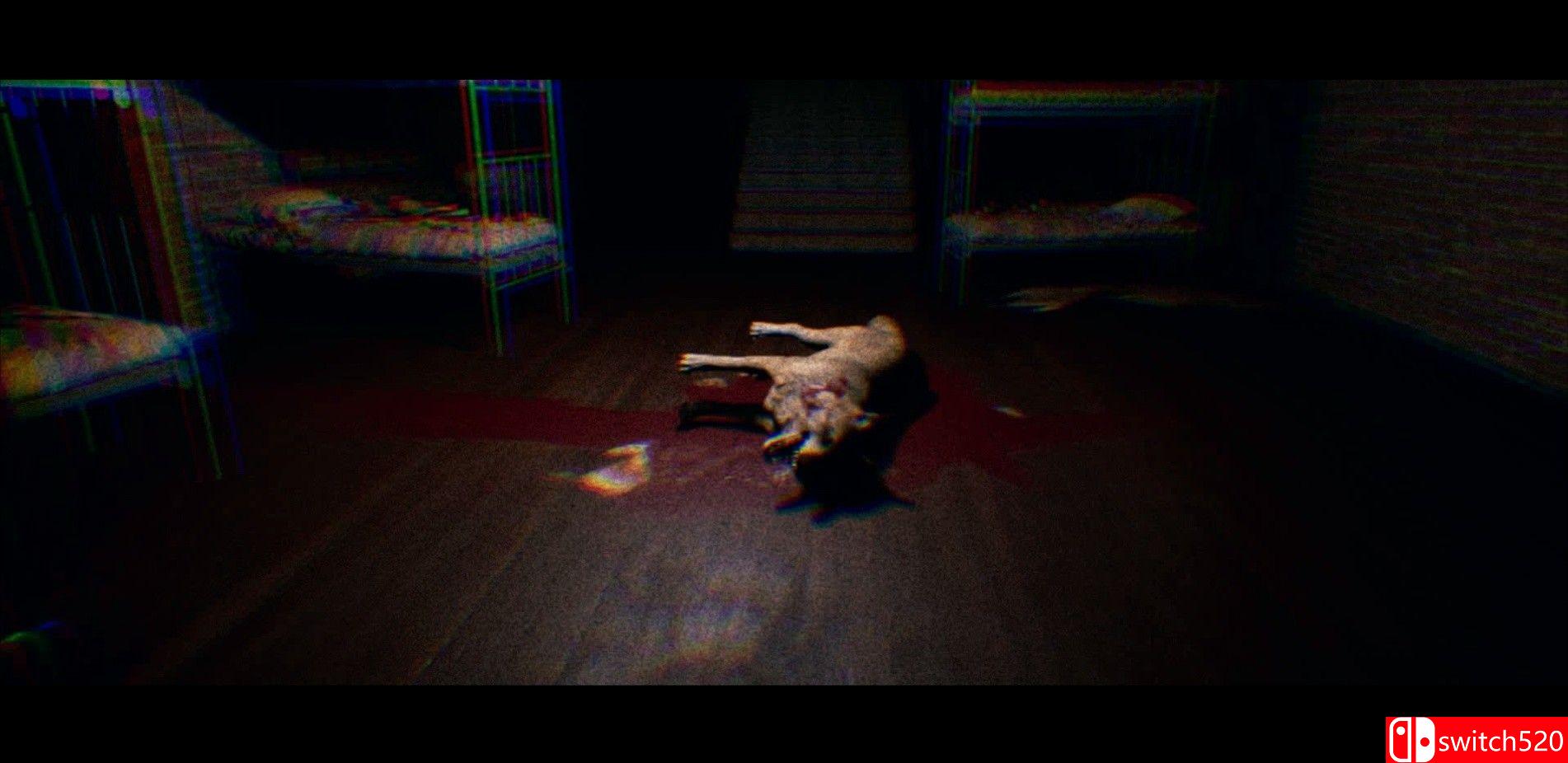 《动物标本（TAXIDERMY）》TiNYiSO镜像版[EN]_4