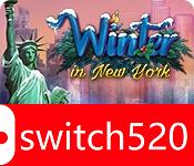 《纽约马赛克冬季版（Winter in New York）》RAZOR硬盘版[EN]