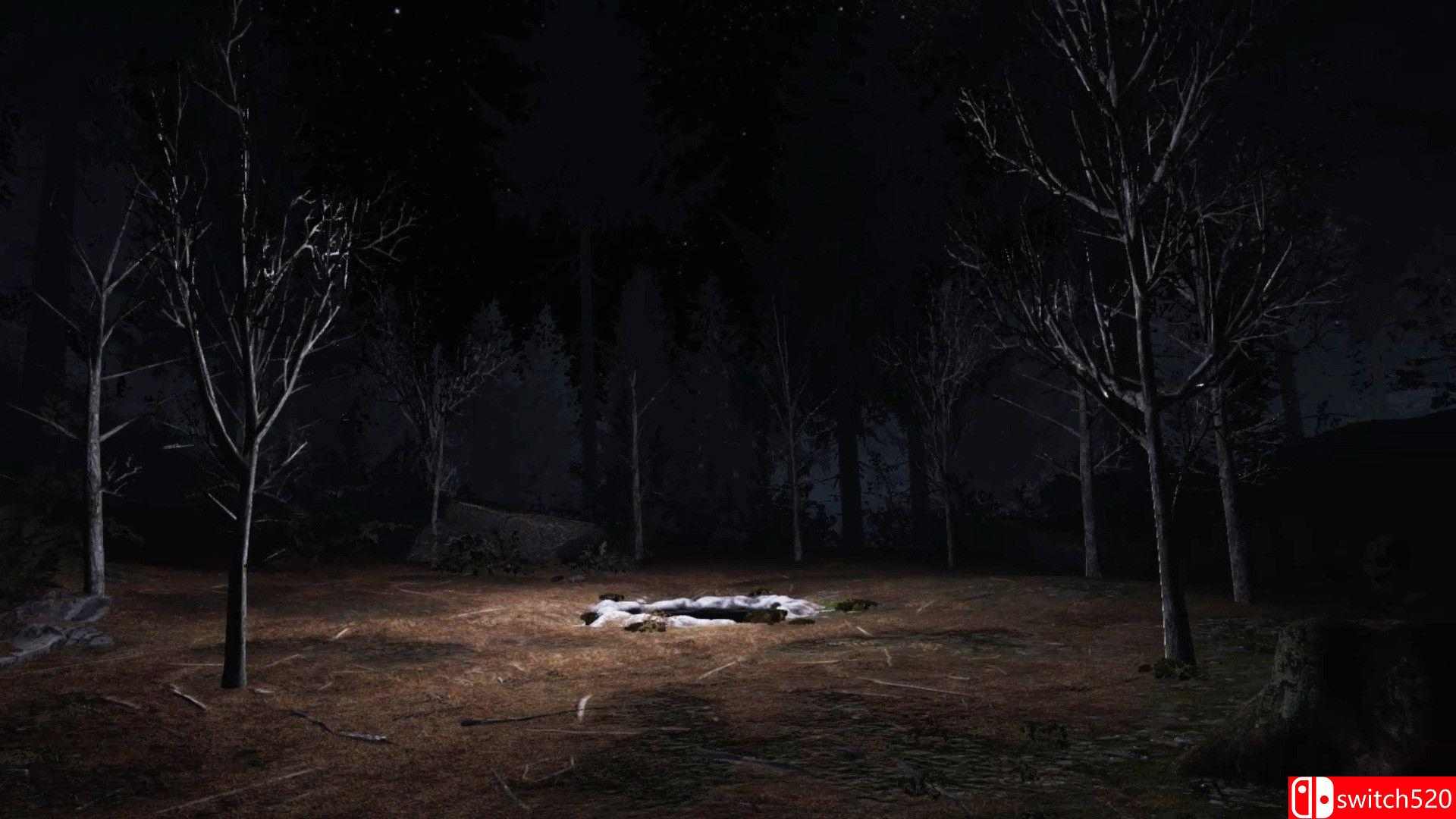 《双峰VR（Twin Peaks VR）》VREX镜像版[EN]_2