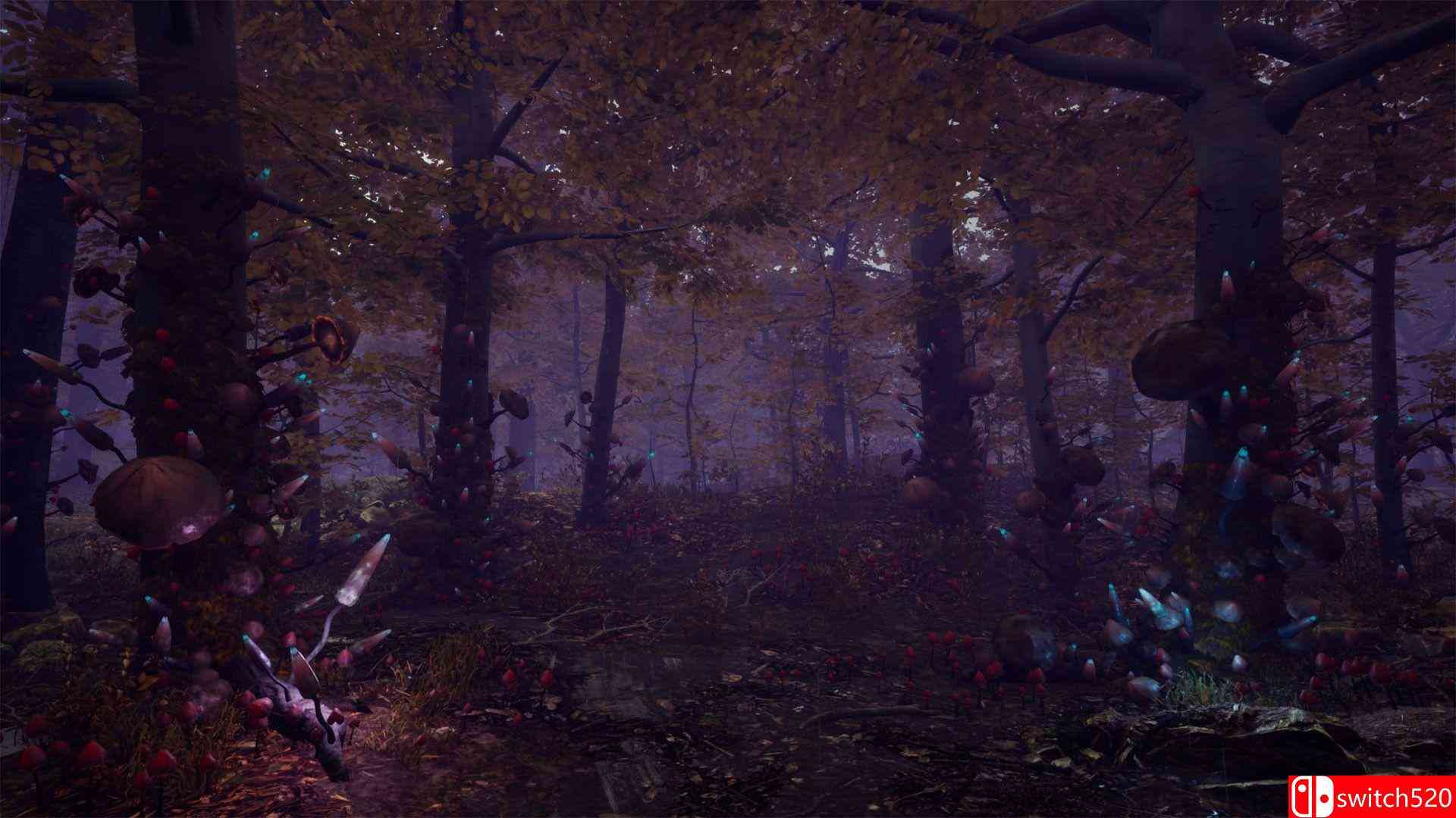 《Pluviophile（Pluviophile）》PLAZA镜像版[EN]_3