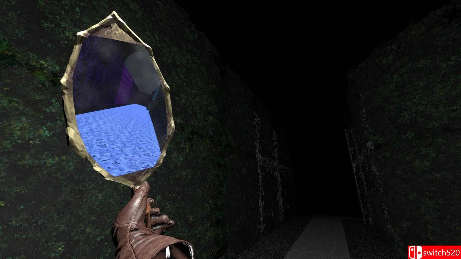 《看镜子（Looking Glass）》TiNYiSO镜像版[EN]_2
