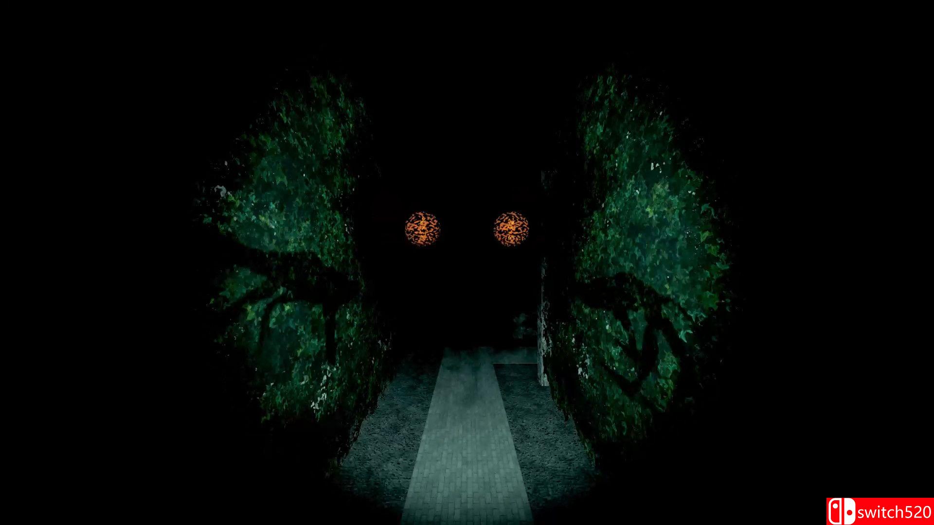 《看镜子（Looking Glass）》TiNYiSO镜像版[EN]_1