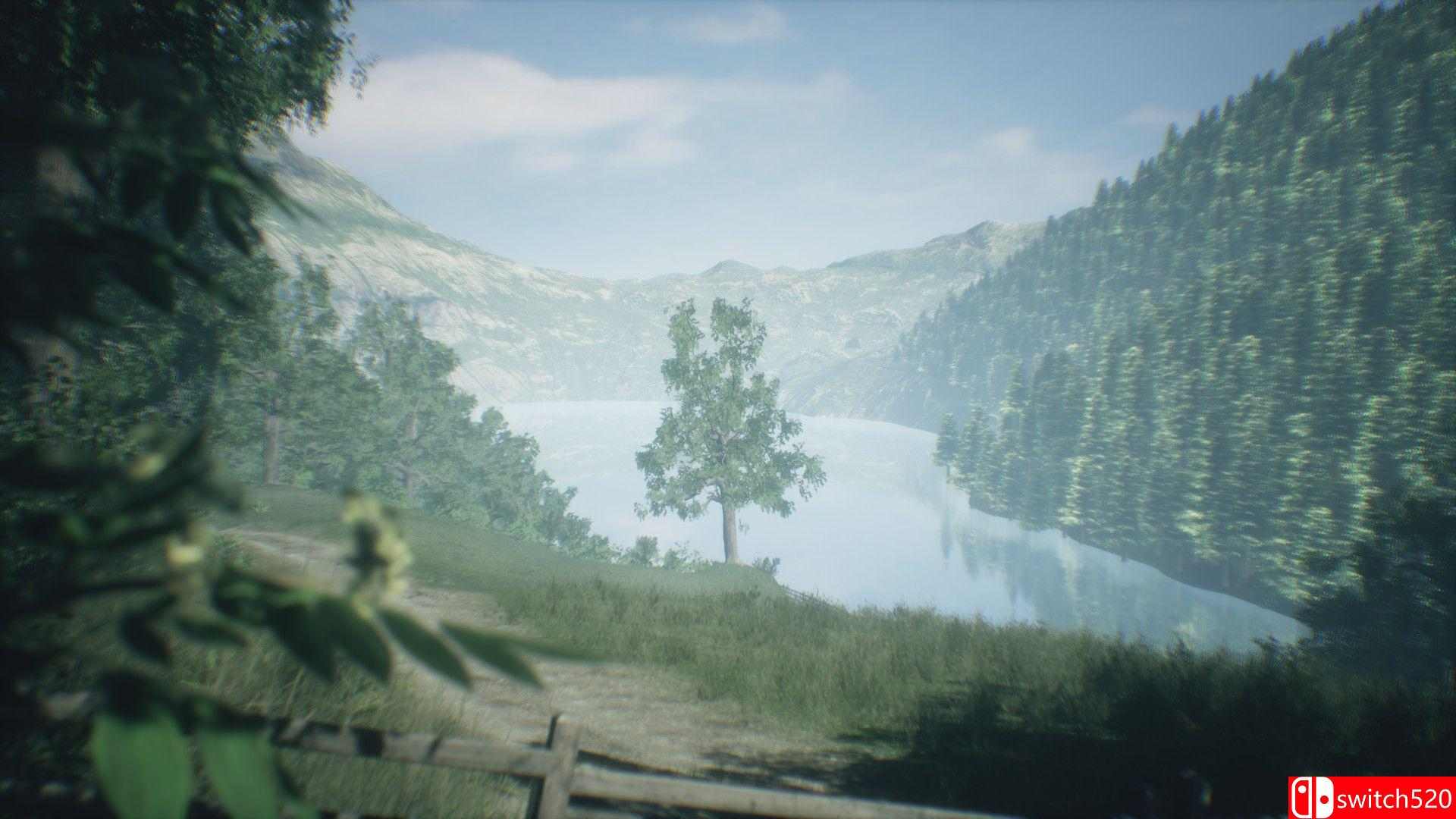 《新西兰瓦卡马里纳山谷（Wakamarina Valley, New Zealand）》TiNYiSO镜像版[EN]_2