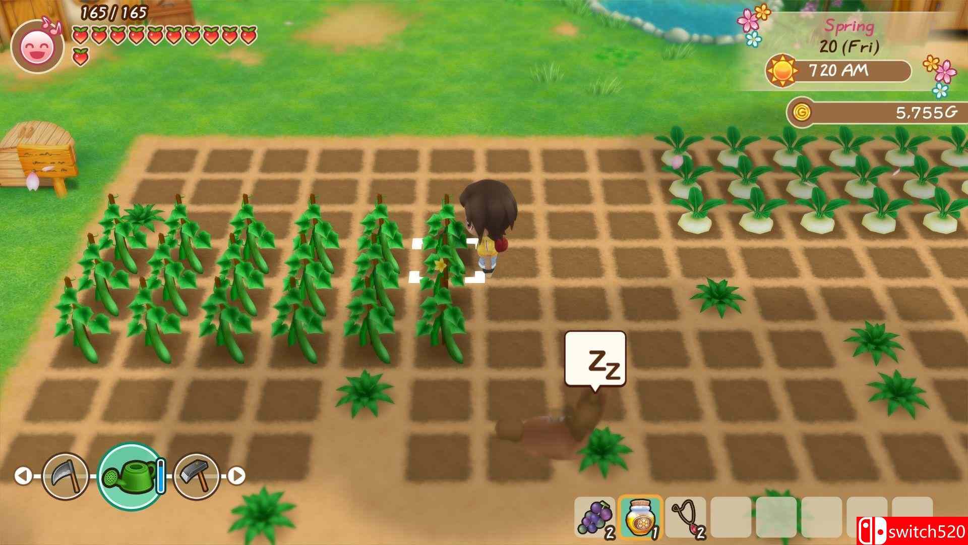 《牧场物语：重聚矿石镇（STORY OF SEASONS: Friends of Mineral Town）》PLAZA镜像版[CN/EN]_3