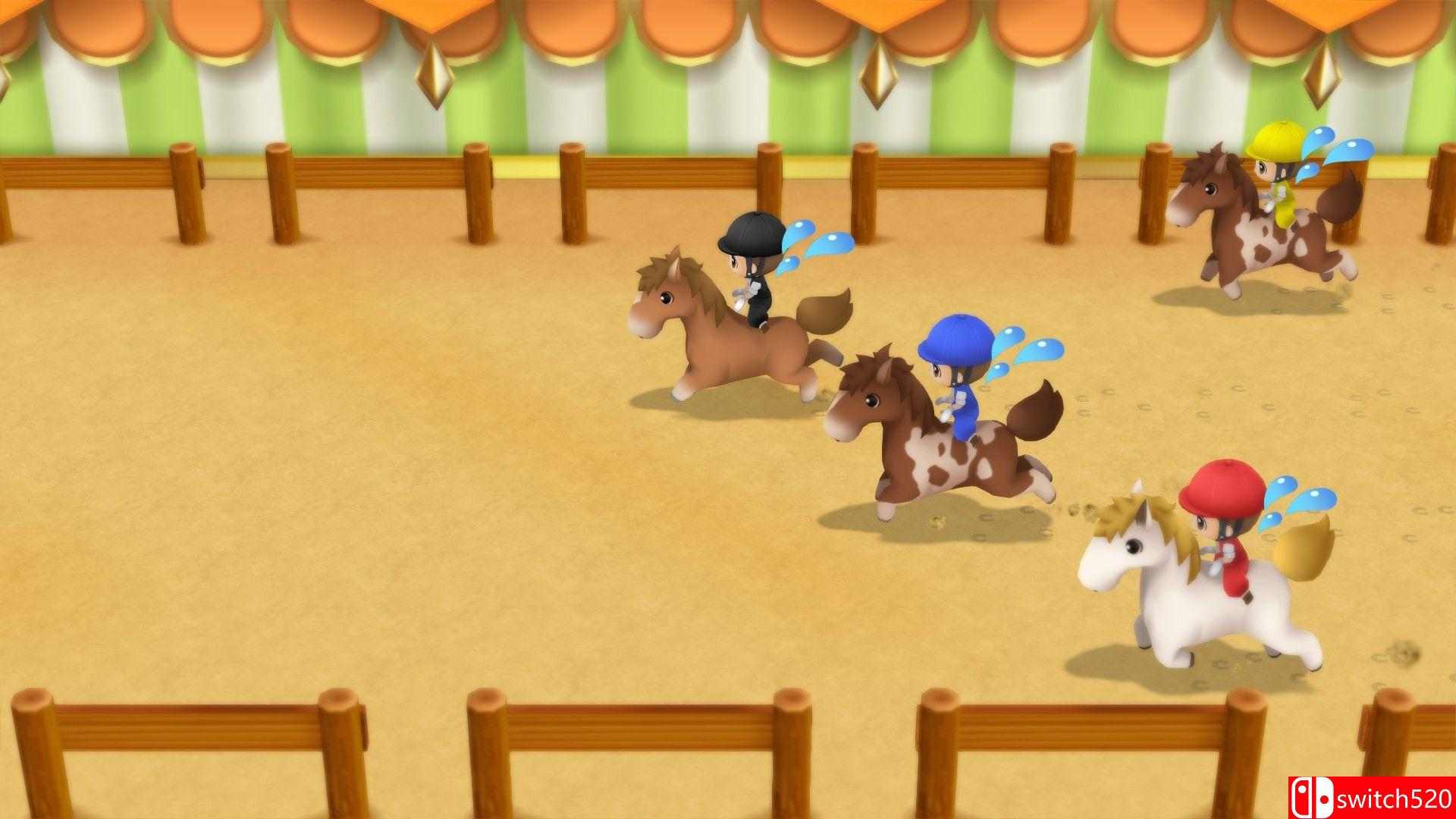 《牧场物语：重聚矿石镇（STORY OF SEASONS: Friends of Mineral Town）》PLAZA镜像版[CN/EN]_4