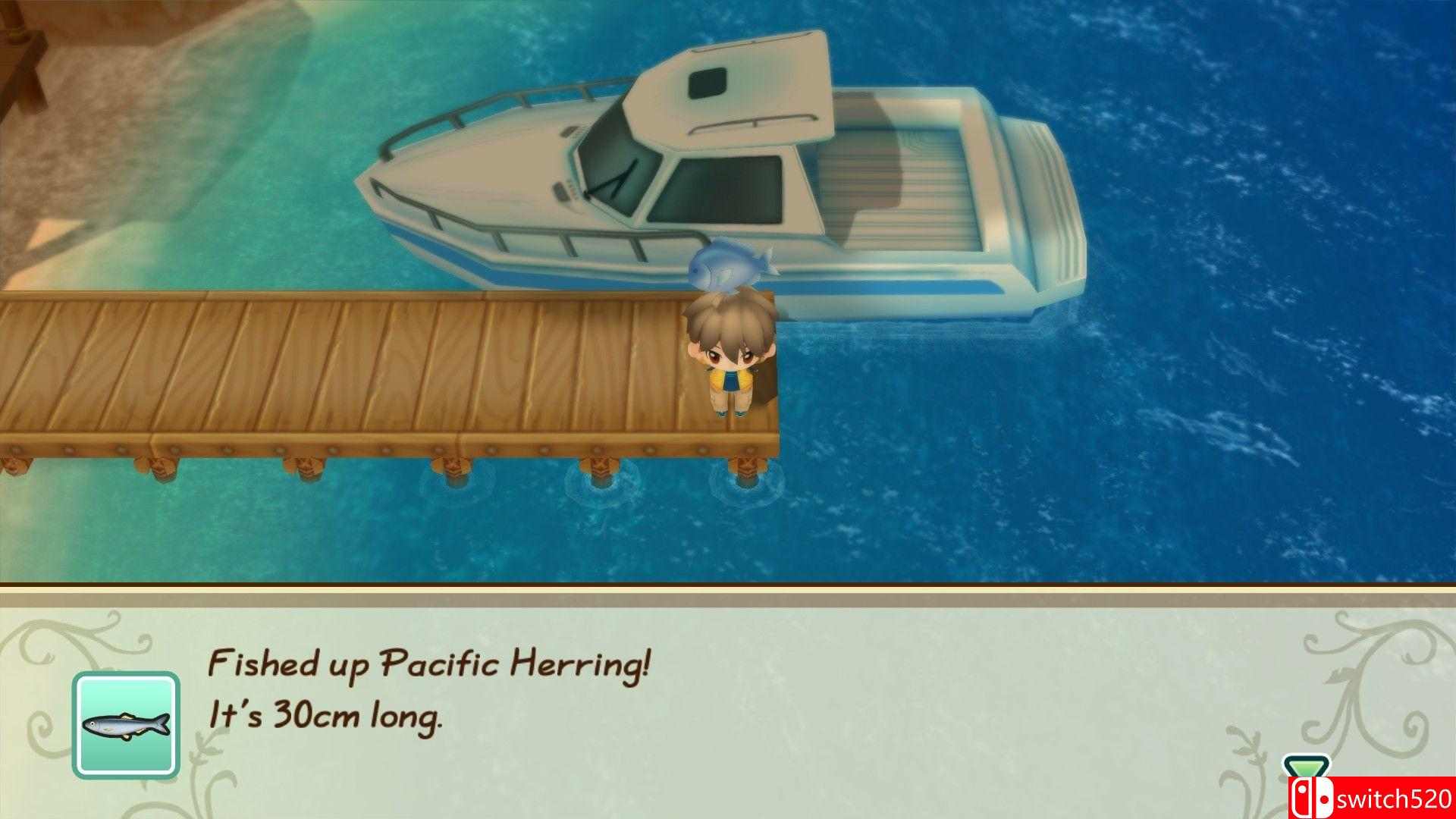 《牧场物语：重聚矿石镇（STORY OF SEASONS: Friends of Mineral Town）》PLAZA镜像版[CN/EN]_5