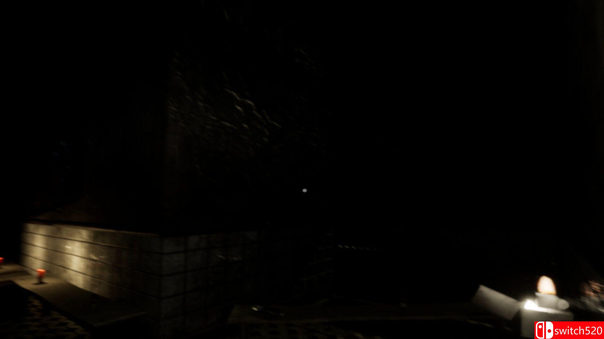 《灰烬疯人院（Ash Asylum）》PLAZA镜像版[EN]_3