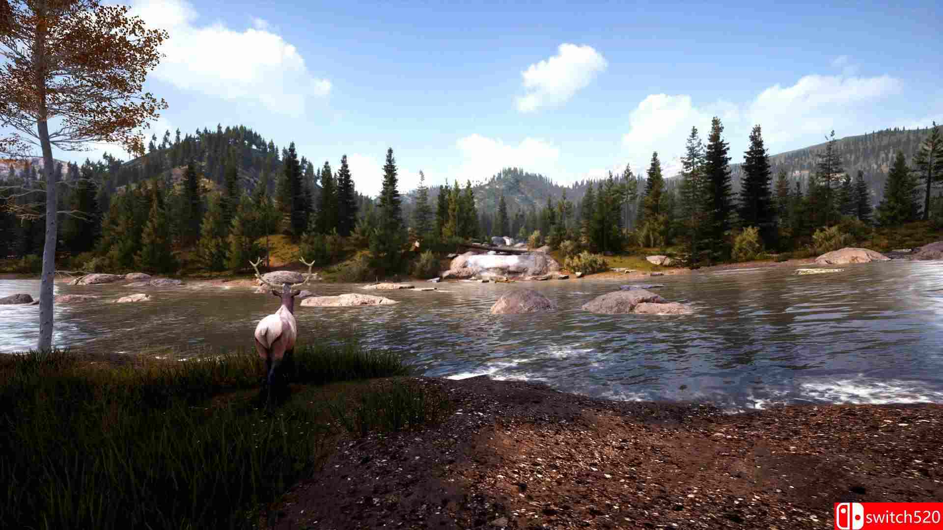 《模拟狩猎2（Hunting Simulator 2）》官方中文 Build 20200915 P2P硬盘版[CN/TW/EN/JP]_4