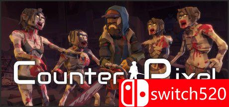 《反面形象：持枪攻击（COUNTER PIXEL: GO GUN STRIKE）》DARKZER0硬盘版[EN]