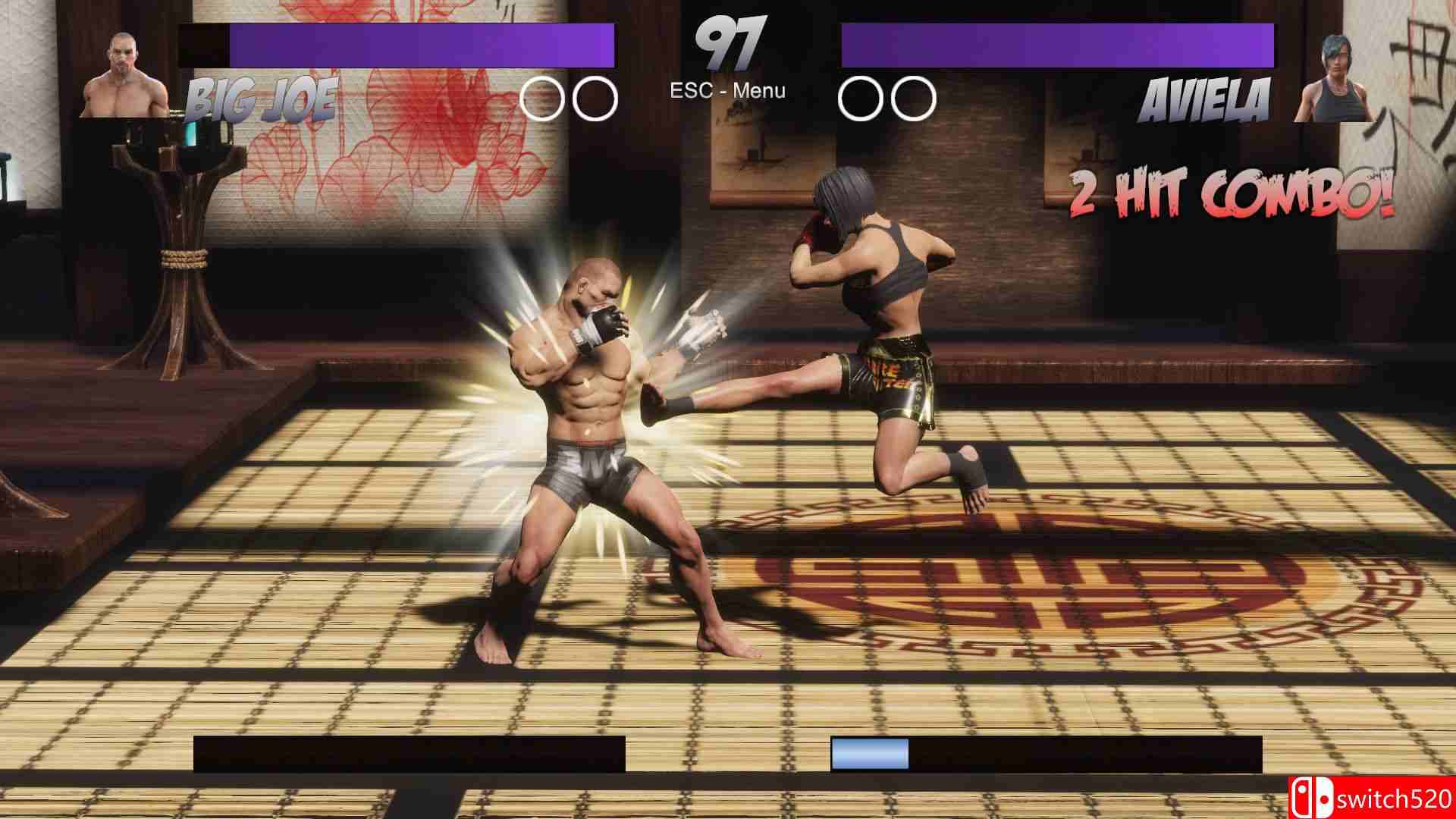 《暴拳：报应（Raging Fists: Retribution）》SKIDROW镜像版[EN]_2