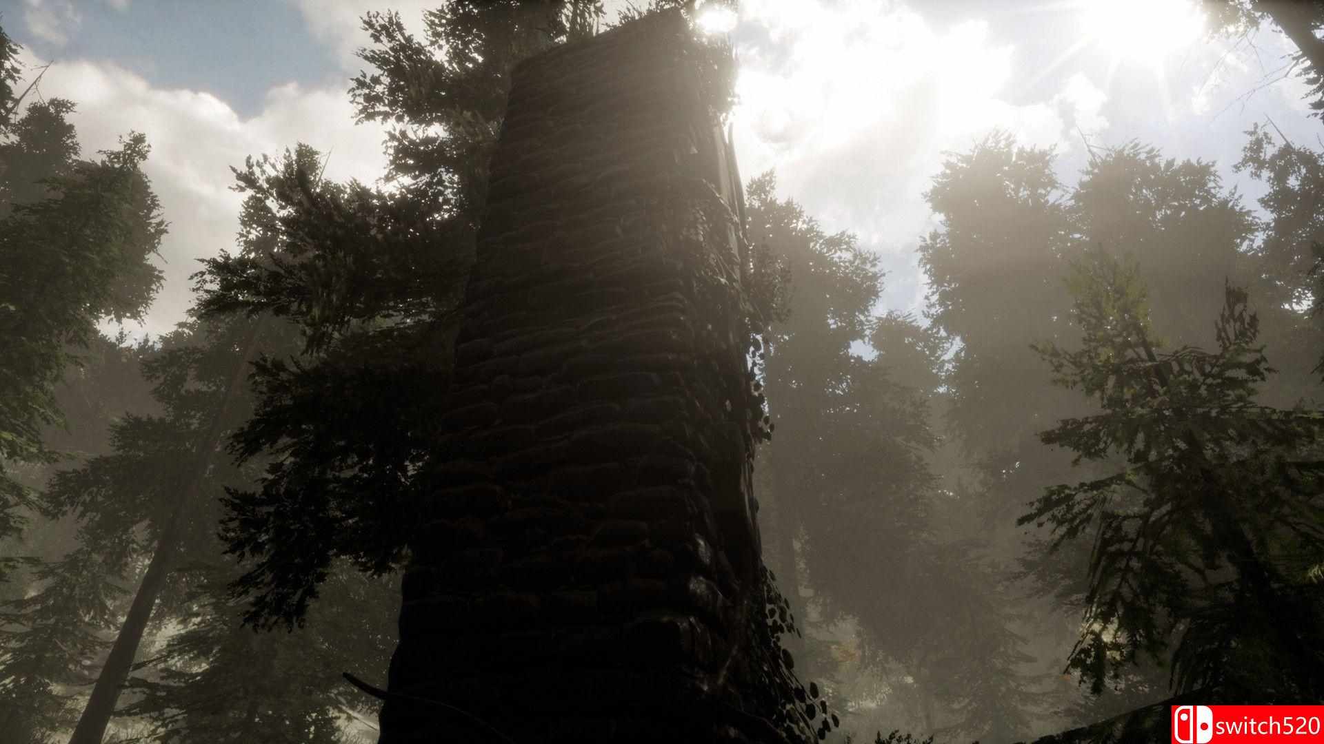 《森林：逃离房间VR（The Woods: VR Escape the Room）》VREX镜像版[EN]_5