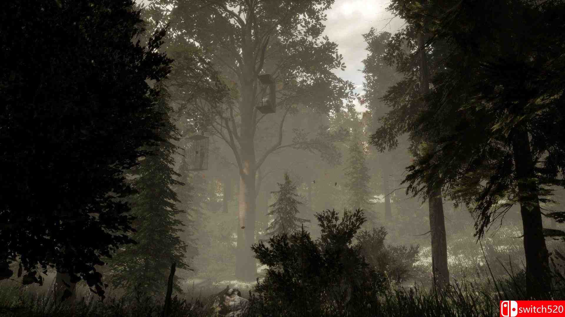 《森林：逃离房间VR（The Woods: VR Escape the Room）》VREX镜像版[EN]_1