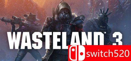 《废土3（Wasteland 3）》HOODLUM镜像版[EN]