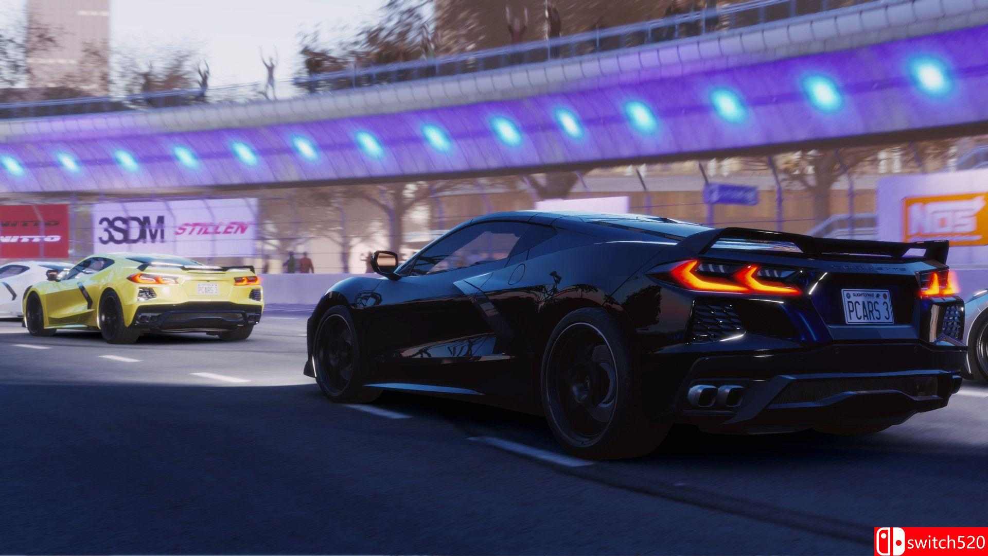 《赛车计划3（Project CARS 3）》CODEX镜像版[CN/TW/EN/JP]_3