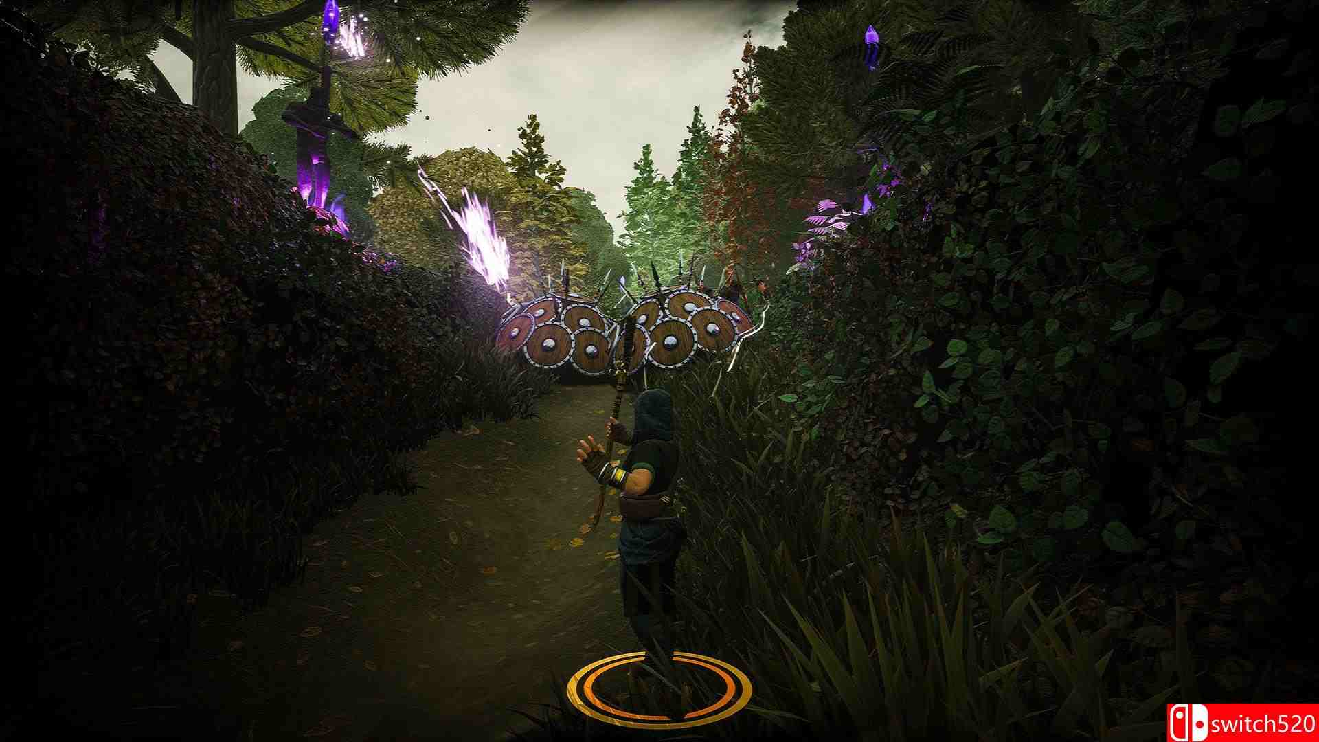 《The Waylanders（The Waylanders）》Early Access P2P硬盘版[EN]_3